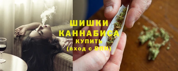 трава Пересвет