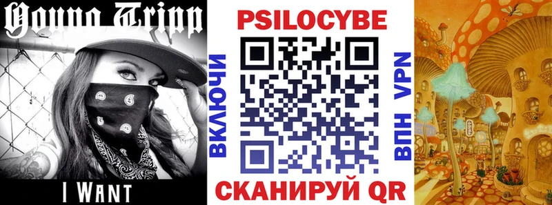 Галлюциногенные грибы Cubensis  Анадырь 